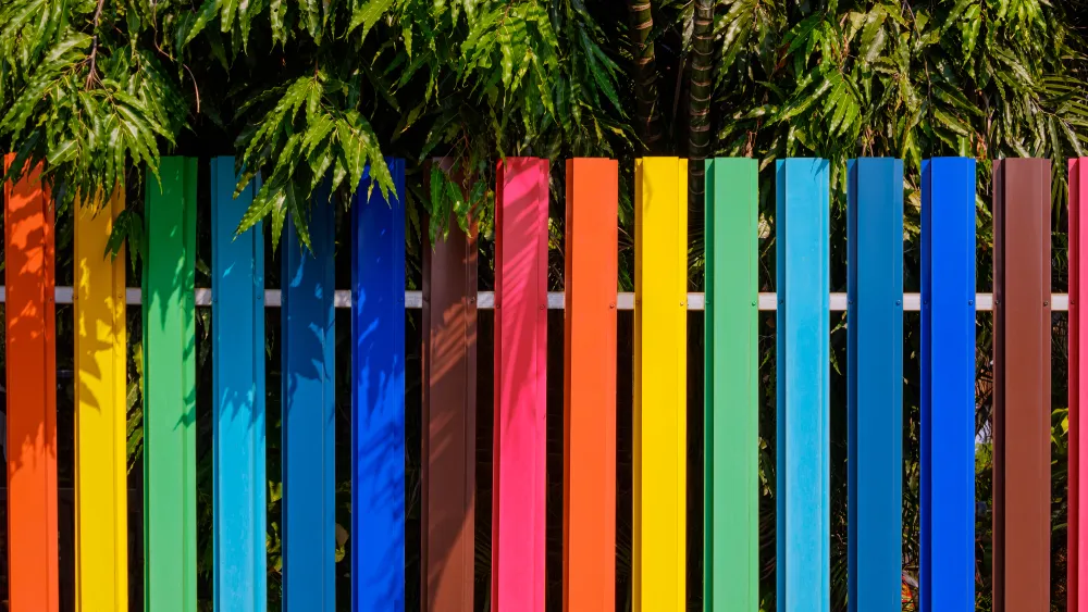 Fence Painting