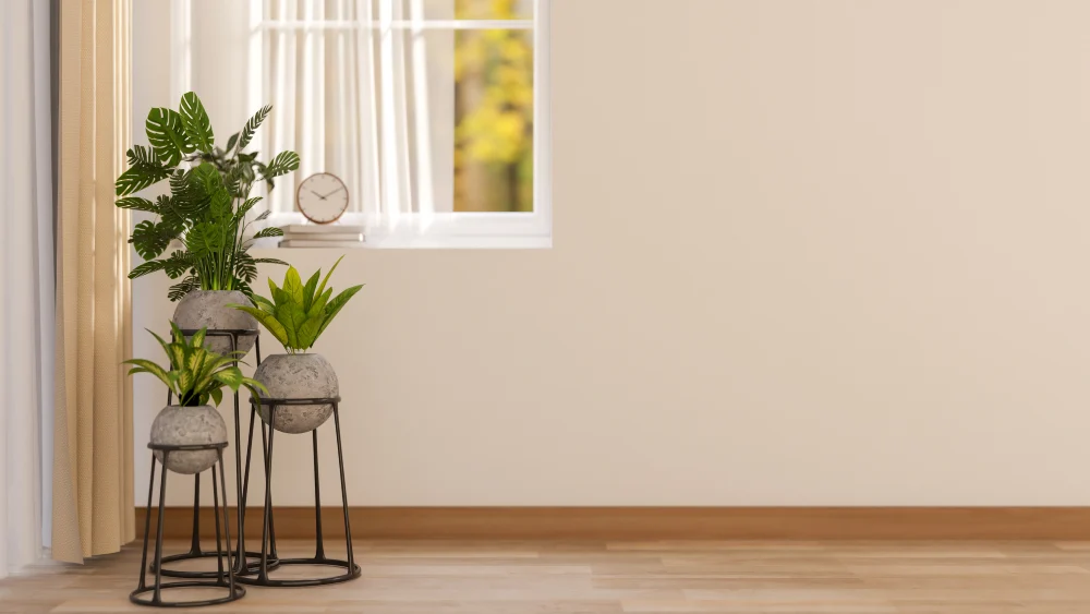 Greenx for interior painting